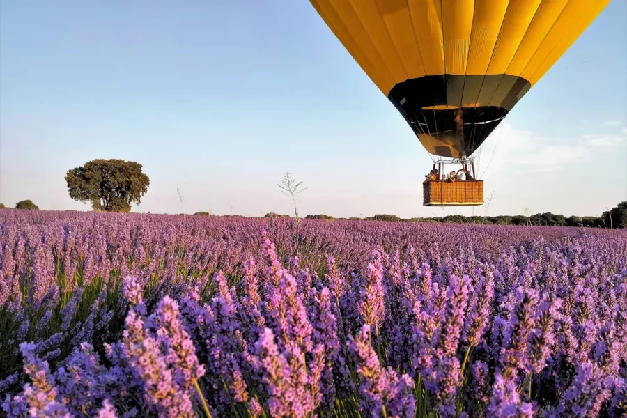 紫色梦幻之旅・布里韦加热气球体验（西英）
